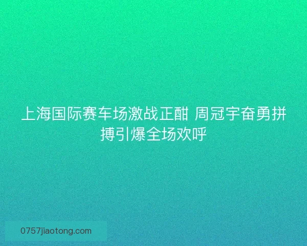 上海国际赛车场激战正酣 周冠宇奋勇拼搏引爆全场欢呼