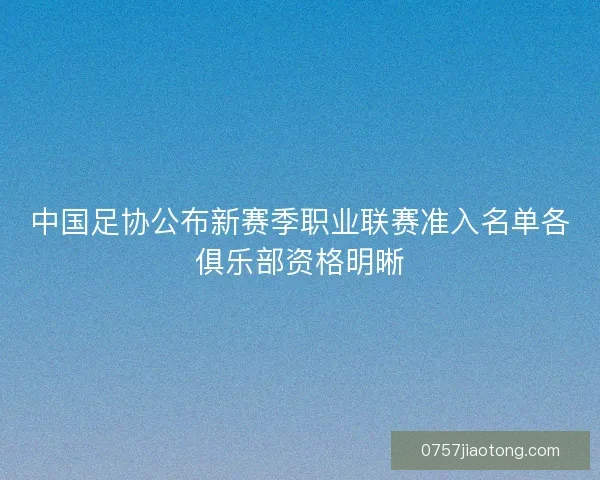 中国足协公布新赛季职业联赛准入名单各俱乐部资格明晰